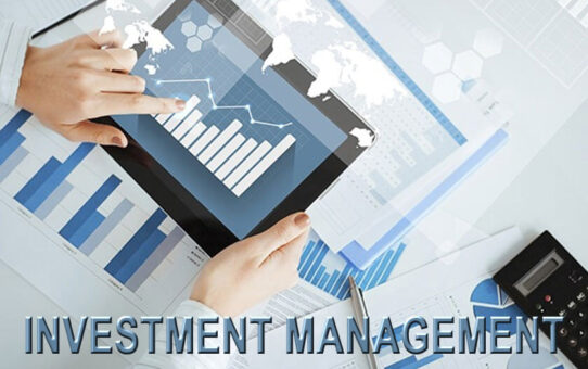 Investment Management Services to Help Your Money Grow