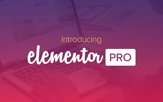 Questions You Should Ask Elementor Pro Before Signing Up!