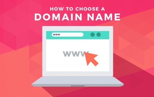 Alpha Domains - Understanding the Domain Registration Process