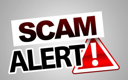 Network Marketing Scams - Unleashing Facts and Myths