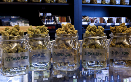 Navigating the World of Cannabis: A Comprehensive Guide to Dispensaries"