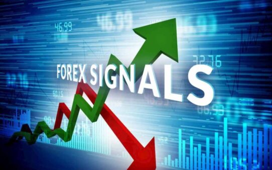 Forex Trading: Learn Easily and Achieve Success